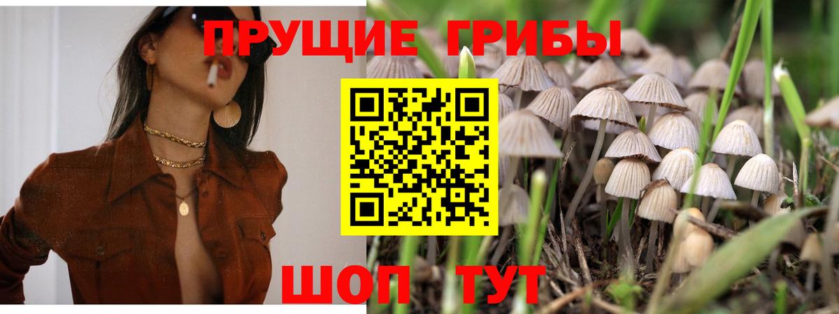 купить наркотик  Вход с VPN  Ковров  Псилоцибиновые грибы ЛСД 